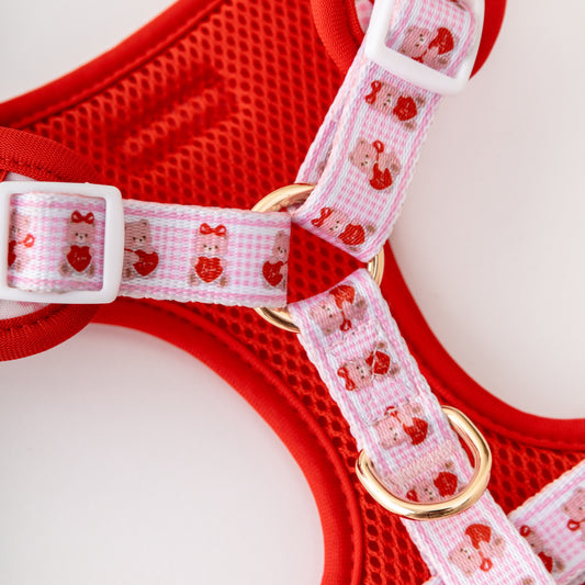 Teddy Adjustable Harness