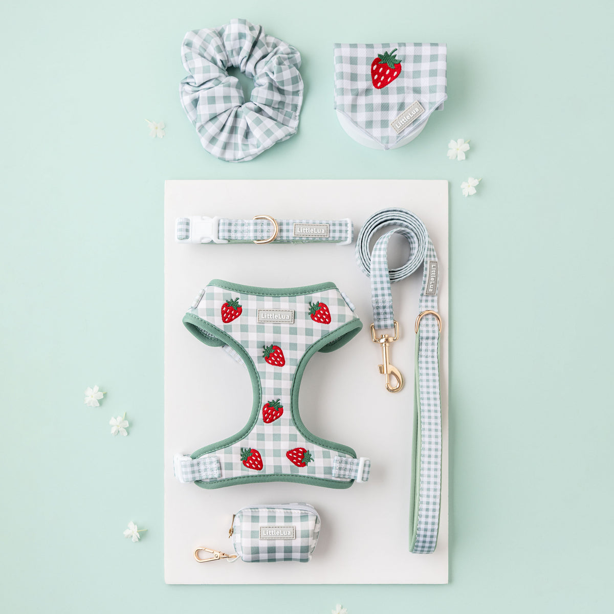 Strawberry Picnic Matching Set