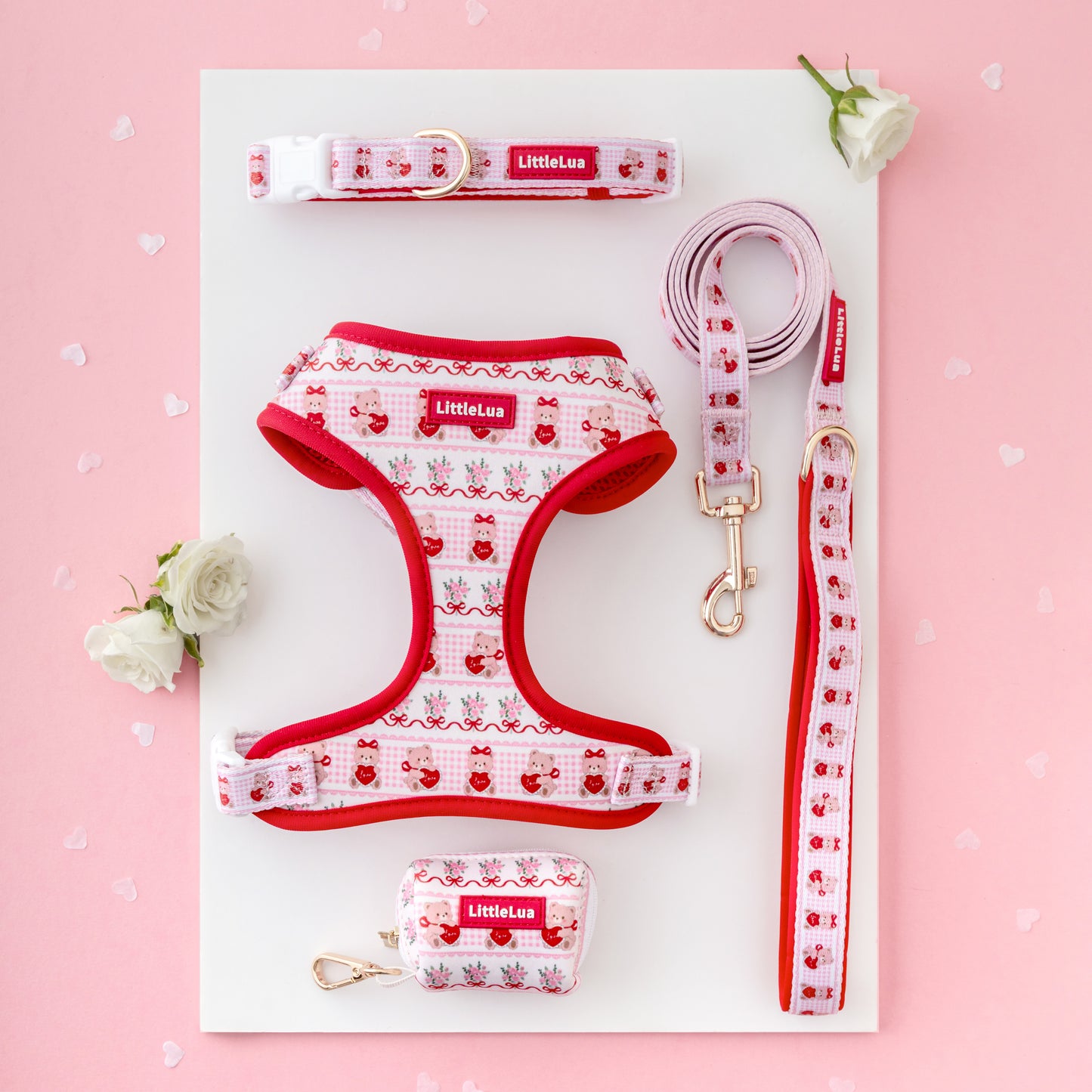 Teddy Walking Set