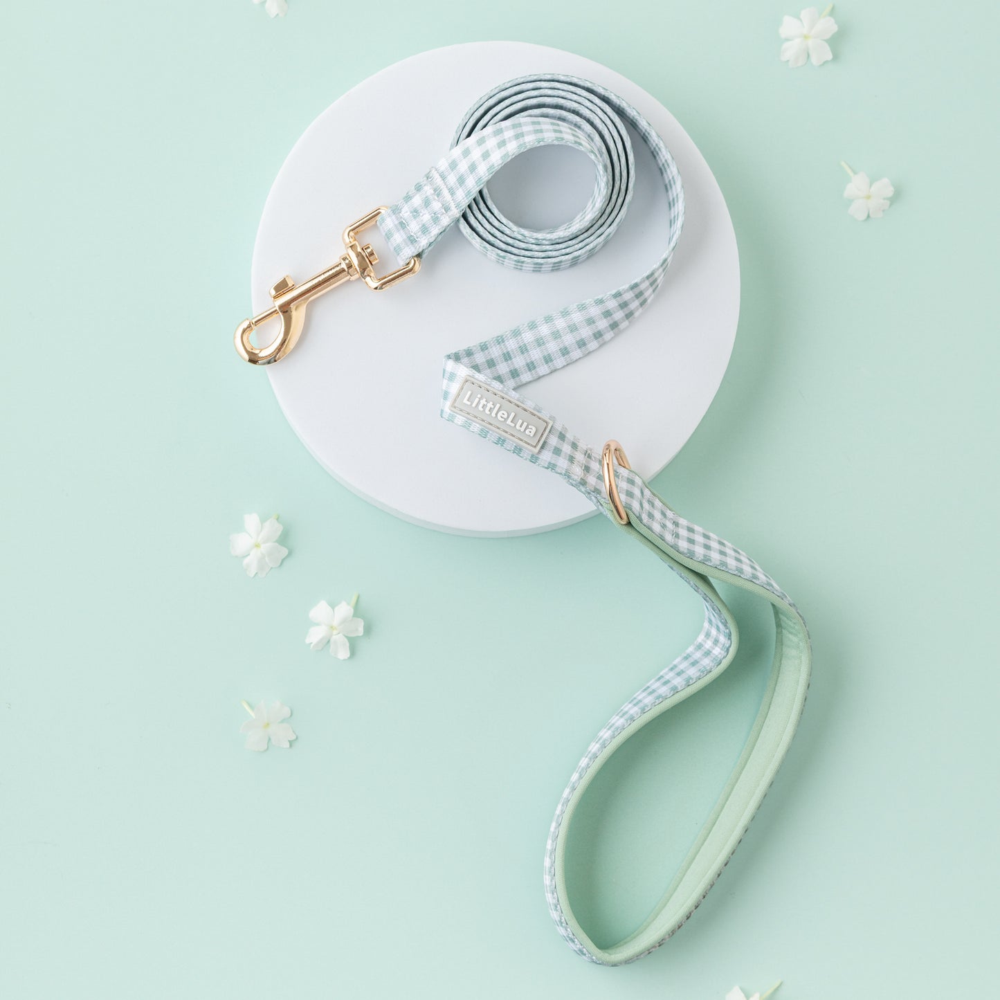 Strawberry Picnic Leash