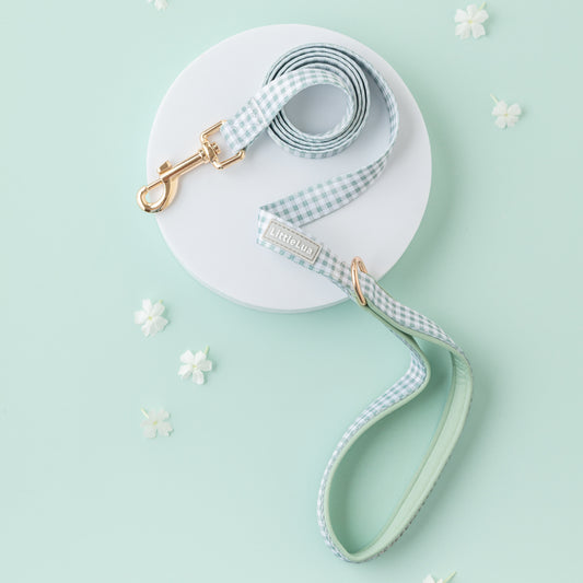 Strawberry Picnic Leash
