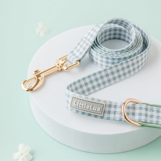 Strawberry Picnic Leash
