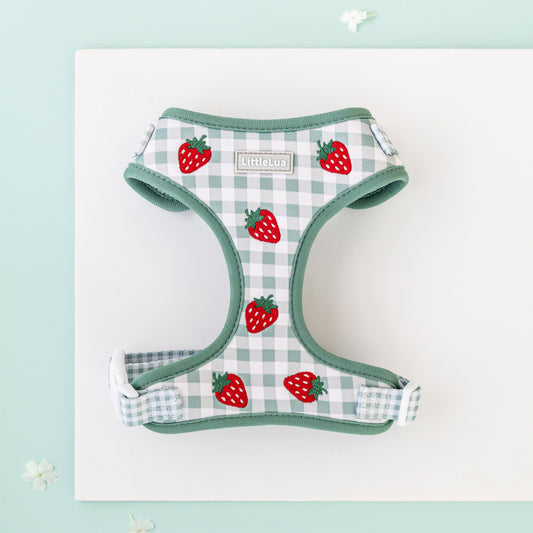 Strawberry Picnic Adjustable Harness
