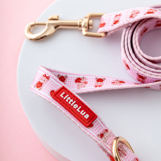 Teddy Leash