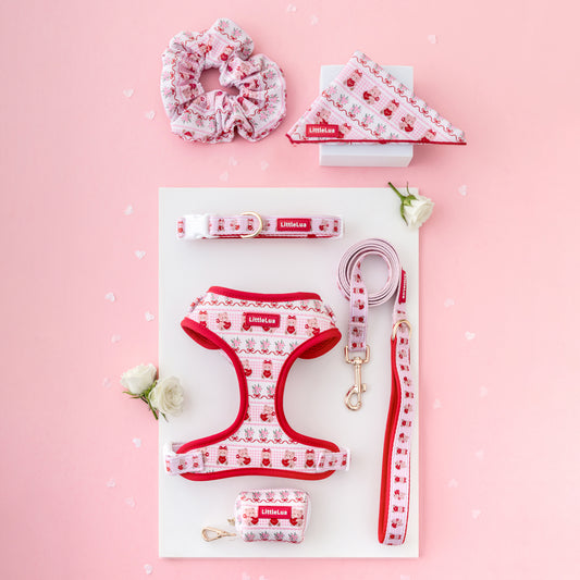 Teddy Little Lua Matching Set