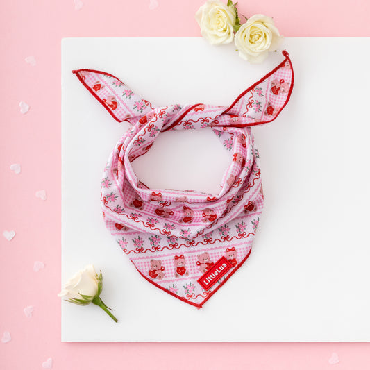 Teddy Bandana