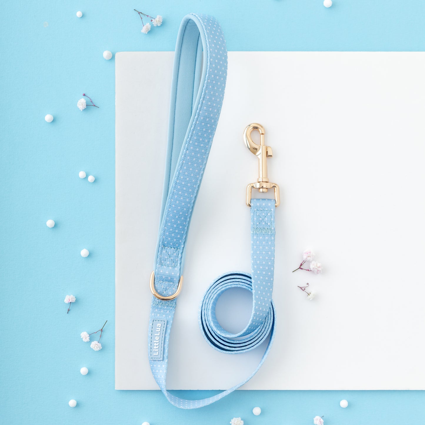 Sky Leash