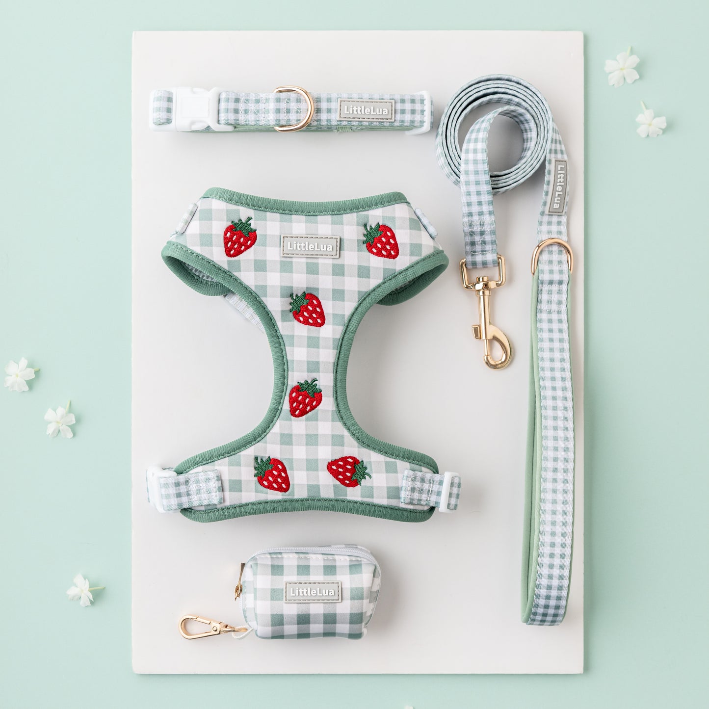 Strawberry Picnic Walking Set