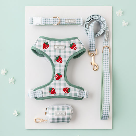 Strawberry Picnic Walking Set
