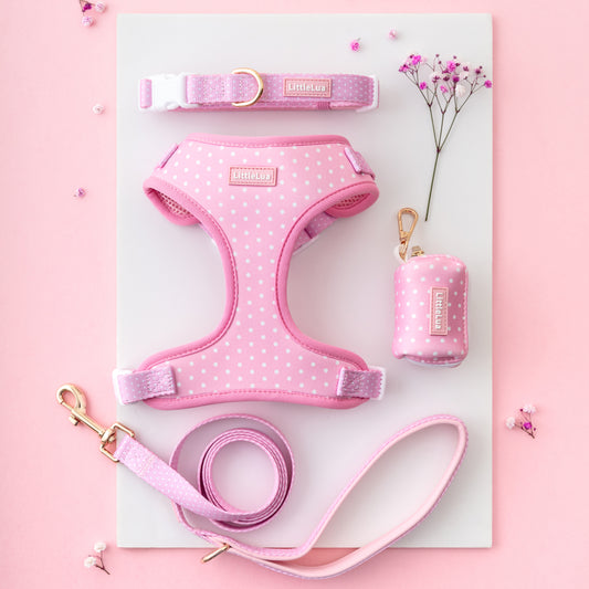 Best Friend Matching Set